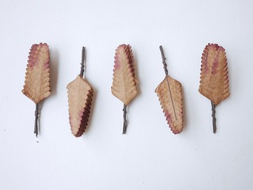 紙花、禮品裝飾 DIY 用品：50 個蕨類植物棕刷紅色顏色