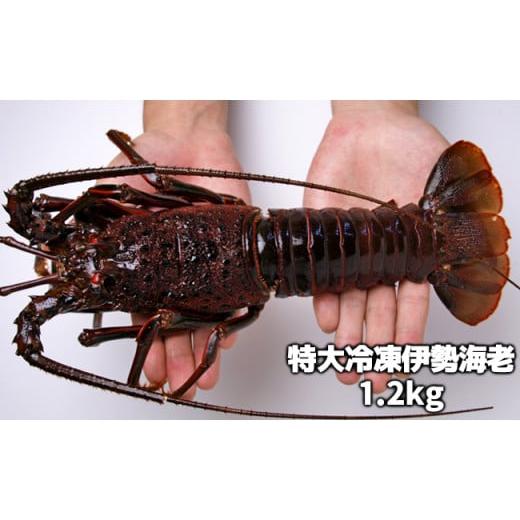 ふるさと納税 千葉県 長生村 C02-E43 活〆冷凍伊勢海老 1.2kg