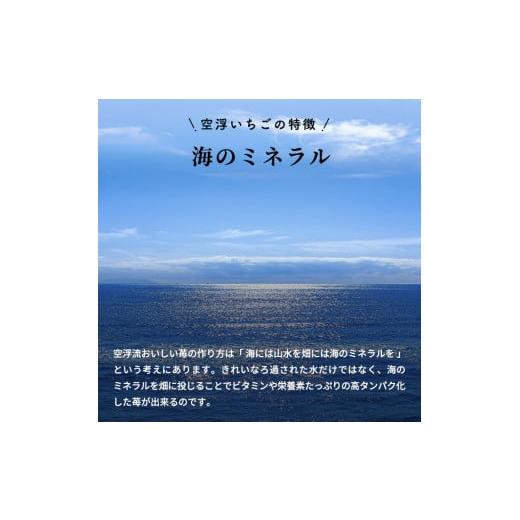 ふるさと納税 香川県 東かがわ市 [No.4631-1830]空浮いちご 4パック「北海道・沖縄・離島へのお届け不可」