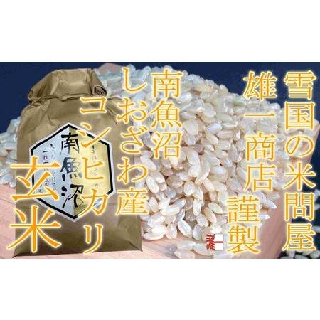 ふるさと納税 ●玄米●   生産者限定 南魚沼しおざわ産コシヒカリ 新潟県南魚沼市