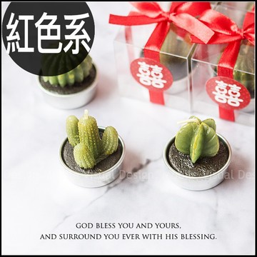 婚禮小物 紅色系 囍字透明盒裝 療癒多肉仙人掌蠟燭 (3色系可挑，蠟燭隨機)-zakka雜貨/盆栽蠟燭 裝飾 結婚 禮物