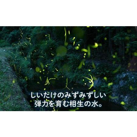 ふるさと納税 瀬戸内しいたけ 400g 兵庫県相生市