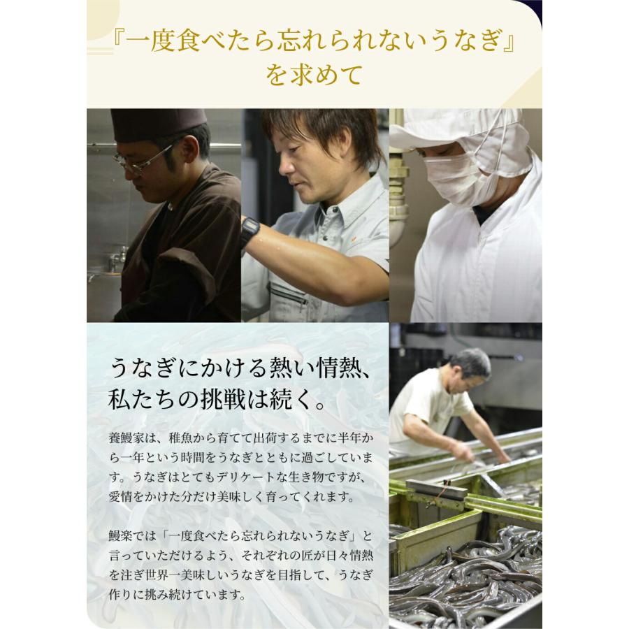 国産うなぎ蒲焼　きざみ5袋（2.5〜5人前）ギフト 敬老の日 お歳暮