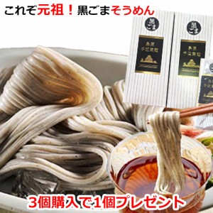 ＼1000円ぽっきり／島原手延べ 黒ごまそうめん（4束×2） メール便 送料無料