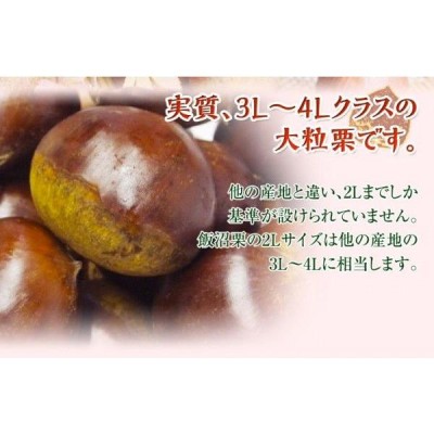 栗 くり クリ 茨城県産 飯沼栗 2Lサイズ 約1kg (目安 27粒前後) ※冷蔵 | LINEブランドカタログ