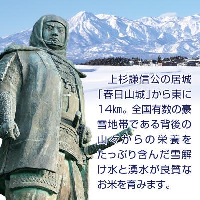 ふるさと納税 上越市 新潟県上越市産　新潟県特別栽培米コシヒカリ　3kg　無洗米