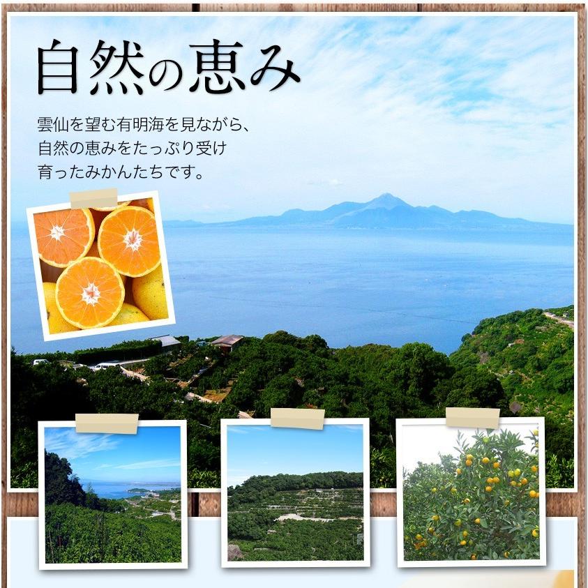 セット購入でおまけ付き 冷凍 小玉 みかん 皮付き 熊本県産 1.5kg 500g×3袋 送料無料 フルーツ シャーベット アイス 7-14営業以内発送予定(土日祝除く)