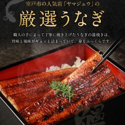 ふるさと納税 室戸市 ヤマジュウ厳選!国産蒲焼き1尾