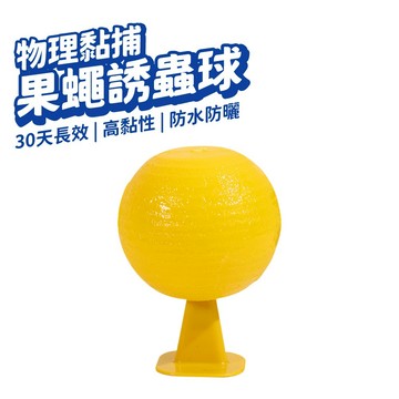 果蠅黏蟲球 誘蠅球 捕蠅器 捕蠅 蒼蠅神器 果蠅黏膠 黏蒼蠅球 果蠅球 滅果蠅 黏果蠅 黏蒼蠅 蒼蠅貼 果蠅剋星 蒼蠅黏