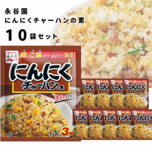 チャーハンの素 送料無料 永谷園 具入り 炒飯の素 10袋セット にんにくチャーハンの素 即席 簡単 味付け 味ごはん ご飯 アレンジ レトル