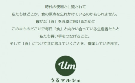 うるま市を中心とした県産野菜・果物セット（S）