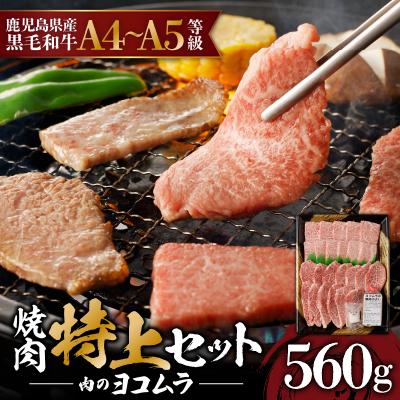 ふるさと納税 鹿児島市 焼肉特上セット(特上カルビ 特上ロース)　K189-007