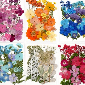 【芳菲系列】 大花包組合 真花壓花 永生花 森林系 少女寫真 壁畫 DIY水晶滴膠 乾燥花 植物標本