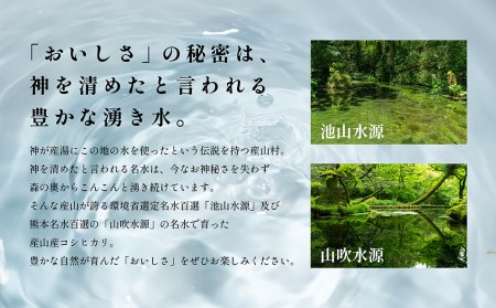 熊本県阿蘇うぶやま産こしひかり5㎏　4袋