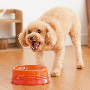 ル・クルーゼ ペット・ボール M・オレンジ 犬用食器