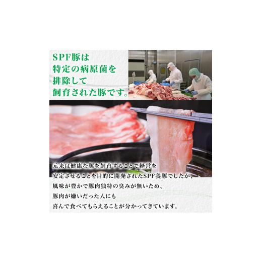 ふるさと納税 千葉県 東庄町 東庄町産SPF豚肉 焼肉＆しゃぶしゃぶセット 計2kg×12回