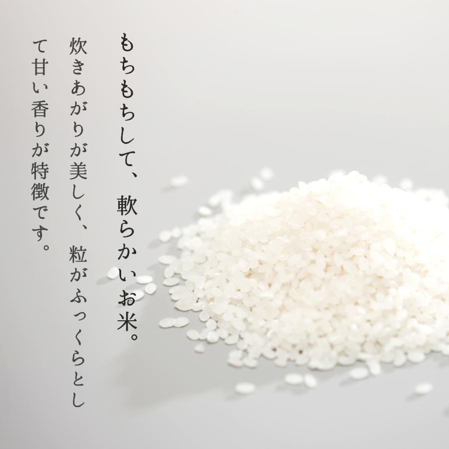 米 お米 5kg ひとめぼれ 白米 山形県産 送料無料 新米 令和5年