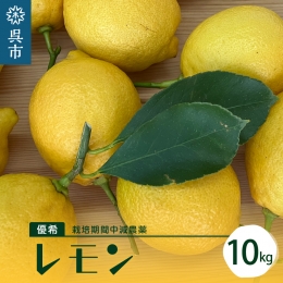 栽培期間中減農薬 レモン 10kg
