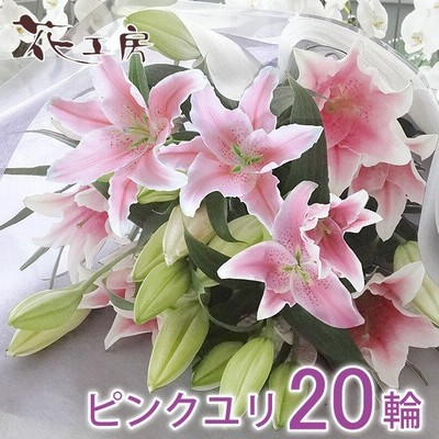 お供え 花 お悔やみ お彼岸 仏花 命日 1周忌 ピンクゆりの花束15輪 供花 お墓参り お悔やみ 一周忌法要 法事 百合 ユリ 供養 仏花 通販 Lineポイント最大get Lineショッピング