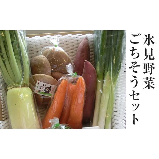 ふるさと納税 富山県 氷見市 氷見野菜ごちそうセット