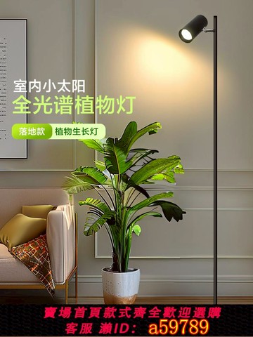 【廠家直銷 可打統編】天茵陽光燈植物生長燈落地熱植補光燈仿模擬太陽光照全光譜室內燈