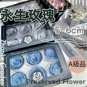 永生玫瑰花 大朵 5-6cm 現貨 6朵裝 永生玫瑰花 A級品不凋花玫瑰 批發零售