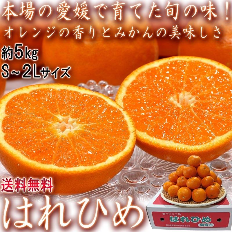 はれひめ 約5kg S〜2Lサイズ 愛媛県産 JA共撰品 オレンジの香りに蜜柑の味わい！食べやすい旬のえひめフルーツ