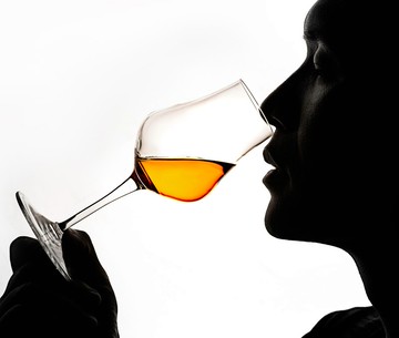 義大利 Luigi Bormioli 烈酒杯 品酒杯 170ml