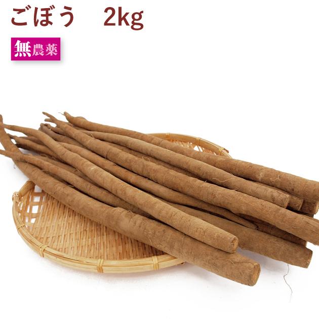 送料込 ごぼう 2kg前後　無農薬栽培　煮物野菜