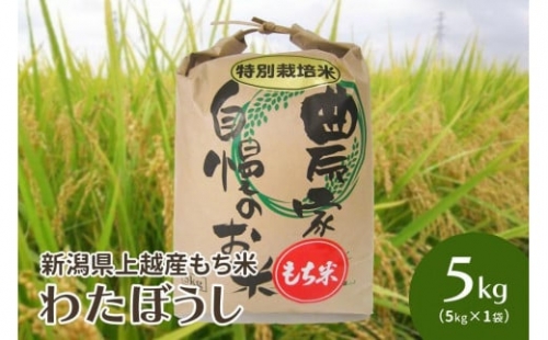 令和5年・新潟県上越産｜もち米「わたぼうし」新潟県特別栽培米｜5kg（白米）