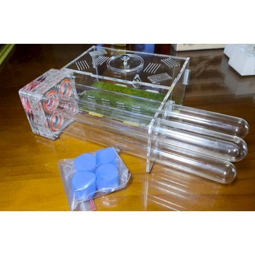 全新蟻巢418試管巢 420試管巢(附堵水試管且組裝完成出貨) 石膏巢 巨山蟻 壓克力巢 加氣磚蟻巢 養螞蟻用品 餵食區