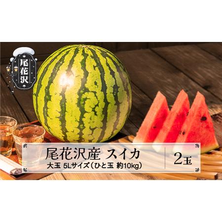 ふるさと納税 先行予約 スイカ すいか 尾花沢産スイカ 5Lサイズ 約10kg×2玉 7月下旬〜8月中旬頃発送 尾花沢 スイカ すいか 令和6年産 202.. 山形県尾花沢市