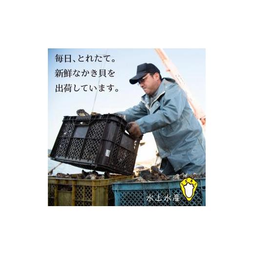 ふるさと納税 石川県 七尾市 水上水産　能登のかき　むき身　約800g〜900g入（３０〜４０粒位）