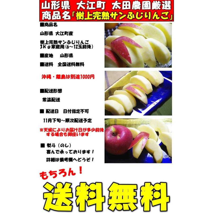 りんご 訳あり ふじ サンふじ 3kg 6〜12玉 糖度 減農薬 エコファーマー 完熟 山形 太田農園 家庭用 林檎