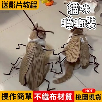 台灣隔日達 貓咪蟑螂裝 貓咪蟑螂衣服 搞怪cos小強手工diy材料包創意扭扭棒觸角裝扮小道具 蟑螂COS服裝 寵物服裝