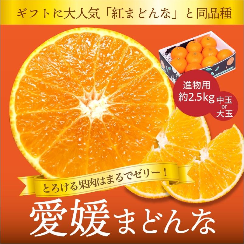 みかん 愛媛まどんな 進物用 ギフト箱入 約2.5kg 大玉又は中玉 愛媛産 送料無料 産地直送 柑橘 フルーツ 果物 お歳暮 2023 お歳暮2023 ギフト グルメ