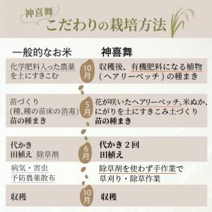 ふるさと納税 お米玄米5kg《 お米 農薬不使用 玄米 5キロ 安心 安全 米 おこめ 国産 送料無料 ヒノヒカリ 》 兵庫県加古川市