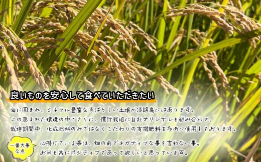 数量限定 獲れたて淡路島産ヒノヒカリ 新米 「米HAPPY」  10kg
