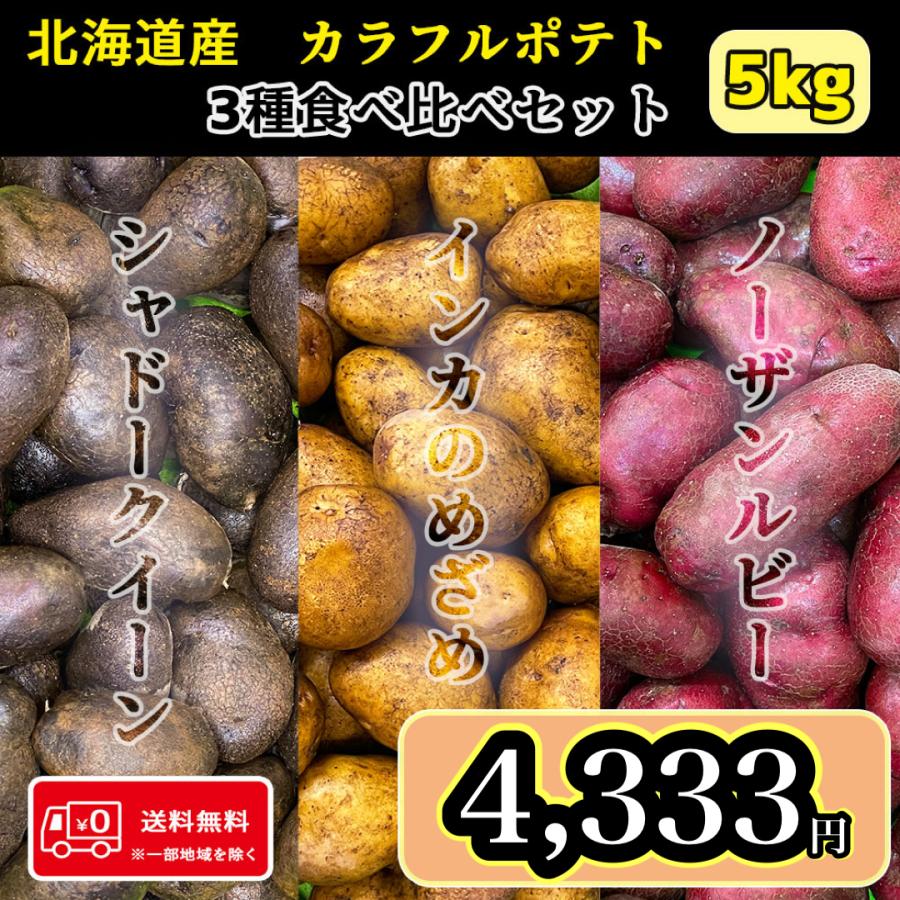 北海道産 カラフルポテト3種食べ比べセット 5kg 送料無料 じゃがいも