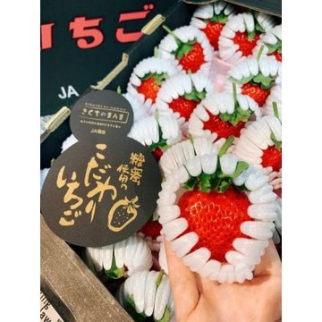 草莓中的夢幻逸品  頂級黑盒熊本菊池糖蜜草莓｜日本草莓禮盒
