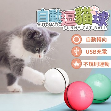 🔥台灣當天出貨🔥自動逗貓球 貓咪玩具  USB充電 電動逗貓球 逗貓球 自動逗貓球 寵物 貓 貓咪玩具 滾動逗