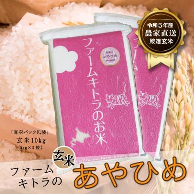 ふるさと納税 長沼町 あやひめ玄米5kg×2袋