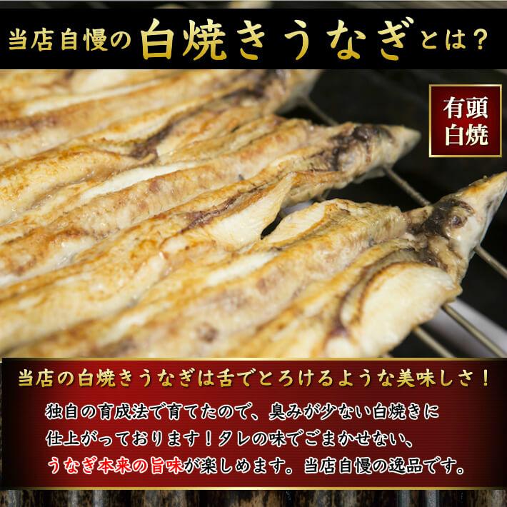 ギフト 風呂敷包み 国産 特大うなぎ 白焼き (梅) 4人前 誕生日 送料無料