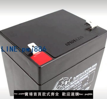 【台灣公司 可打統編】原裝理士牌通力電梯轎頂蓄電池12V電瓶應急電源DJW12-4.5AH配件