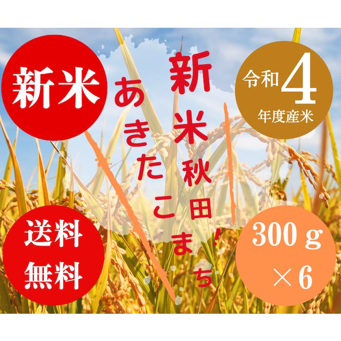 送料無料 令和５年度米 渡部浩見 漢方農法 特別栽培米 新米あきたこまち ３００g ６パック