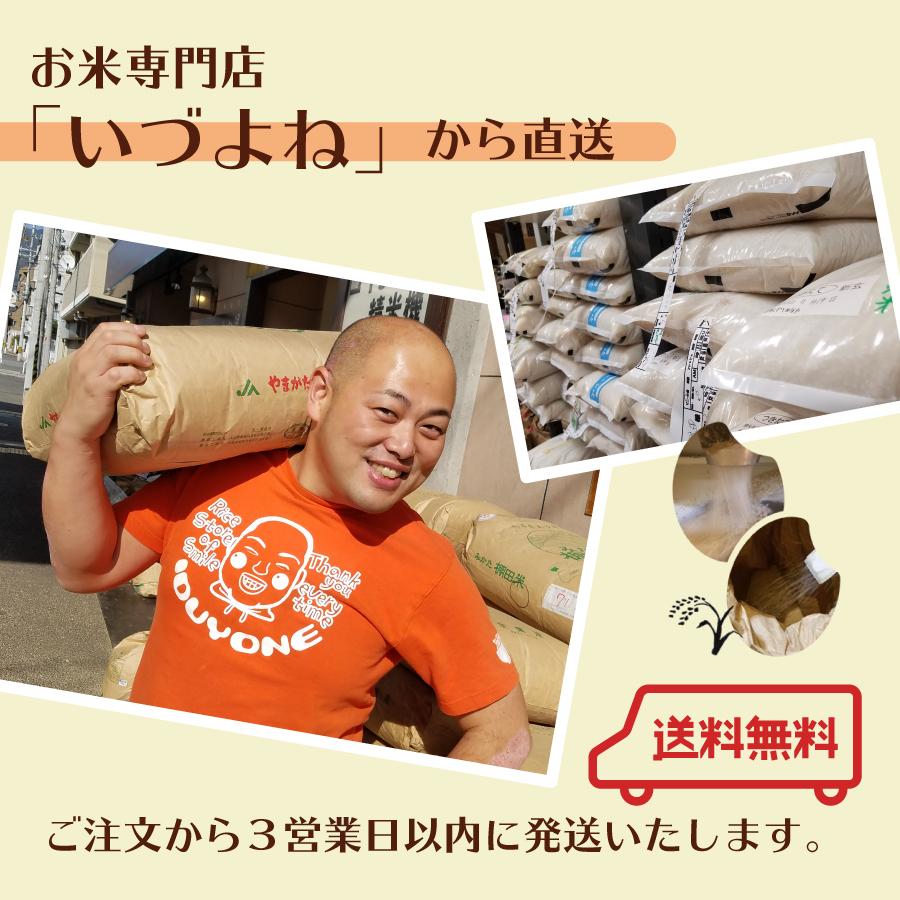 ＜新米＞白米 令和５年産 鳥取コシヒカリ ３kg 鳥取県産 送料無料 国産 ギフト お米 お取り寄せ お試し 御中元 お歳暮 御歳暮 敬老の日 御礼 誕生祝い 御祝