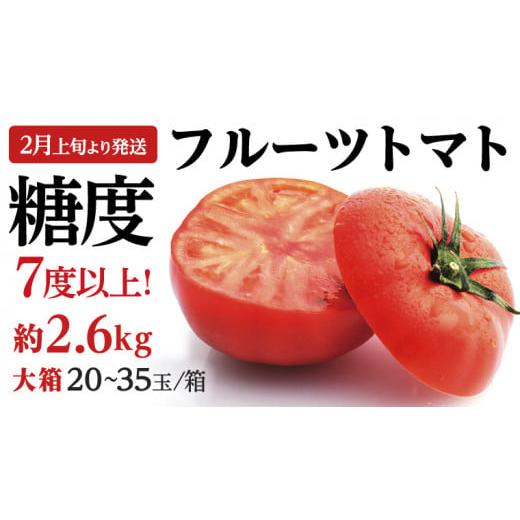 ふるさと納税 茨城県 桜川市  フルーツトマト 大箱 約2.6kg × 1箱  （20〜35玉／1箱）糖度7度以上 トマト とまと 野菜 [BC018sa]