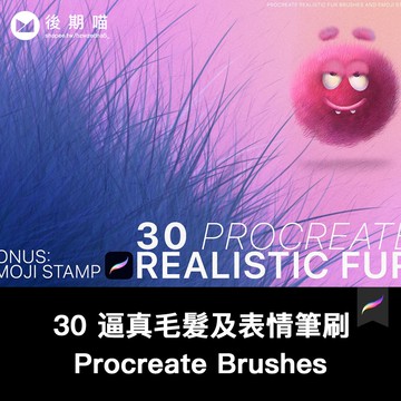 Procreate筆刷 | 30 逼真毛髮紋理及表情圖形Procreate筆刷ipad大師畫筆