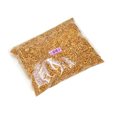 【MOMOCAT】小麥貓草種子 250g