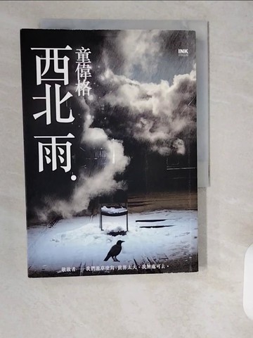 【書寶二手書T7／一般小說_XXA】西北雨_童偉格